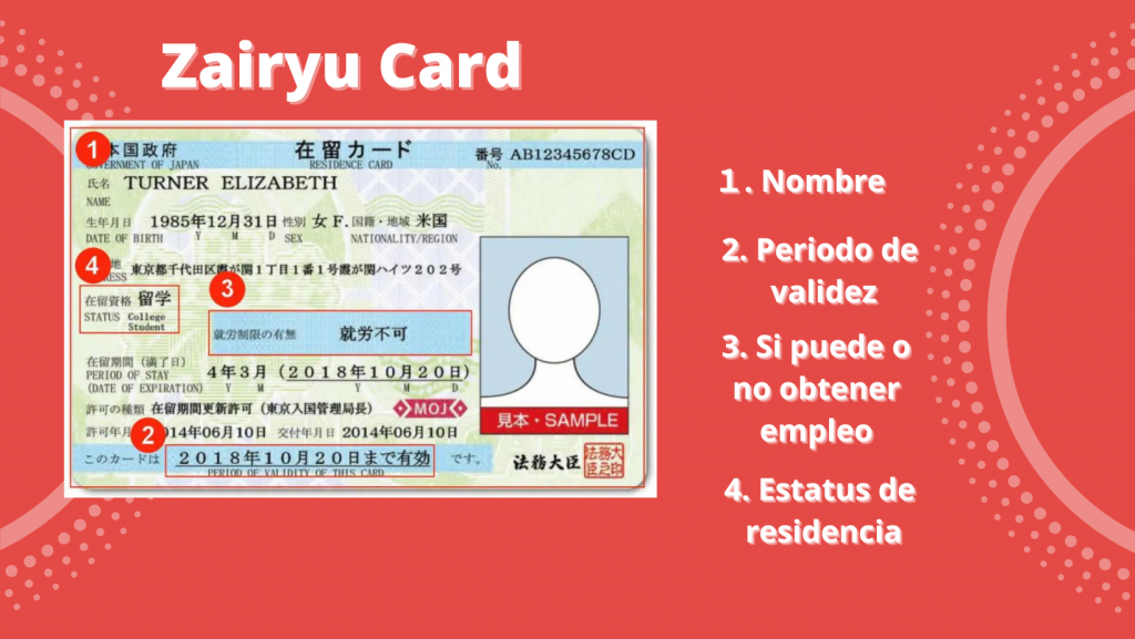 Ejemplo de tarjeta de residente en Japón (zairyu card). 